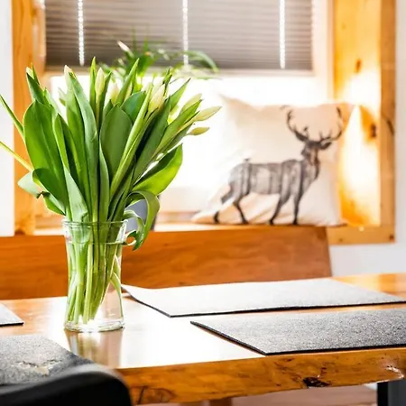 Apartment Neu Renoviertes Ferienhaus/wohnunng Kleine Auszeit *